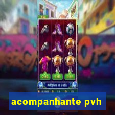 acompanhante pvh